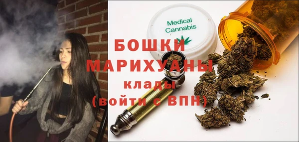 дживик Касимов