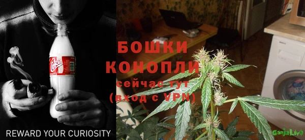 дживик Касимов