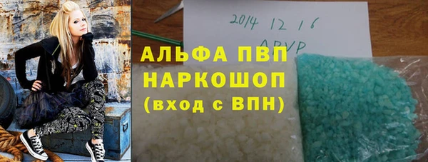 дживик Касимов