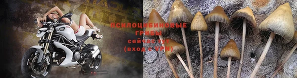 дмт Карталы
