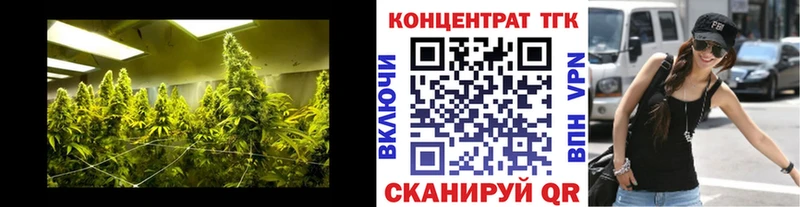 Купить закладки  Химки  ТГК вейп с тгк 